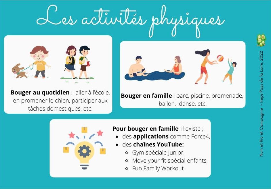 activites falc