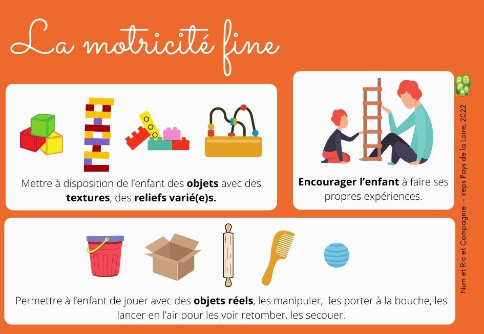 motricite falc