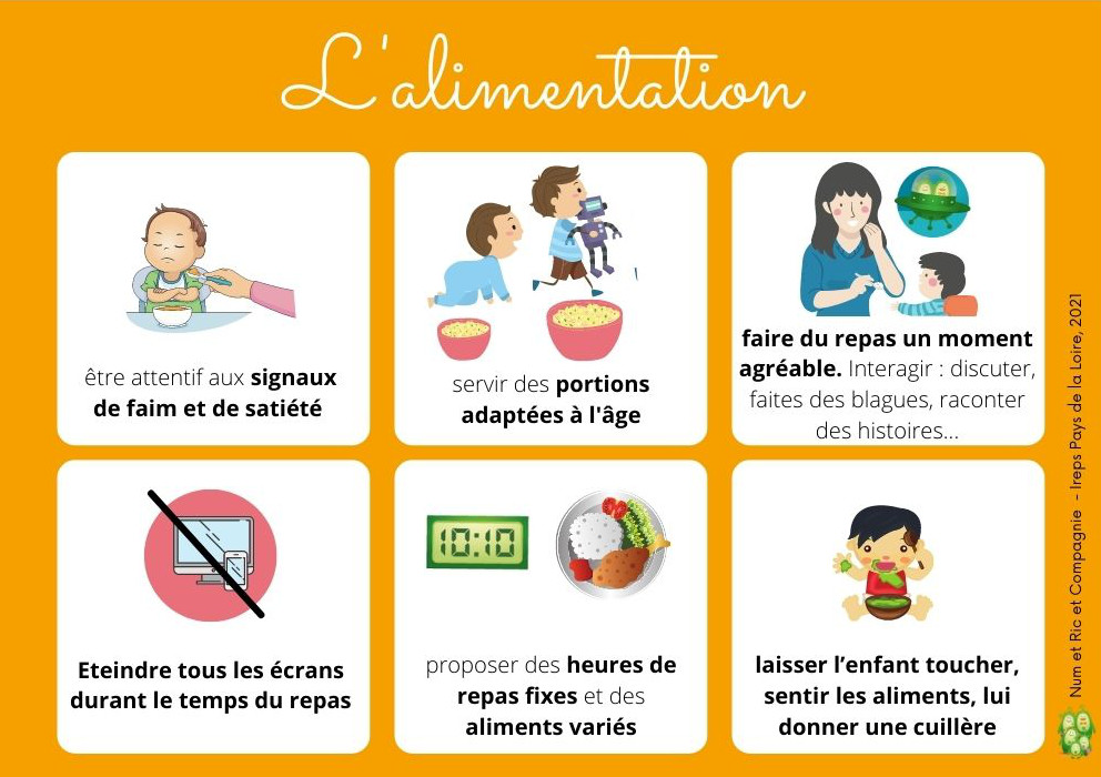 alimentation falc