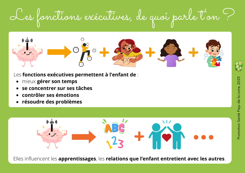 Fonctions exécutives