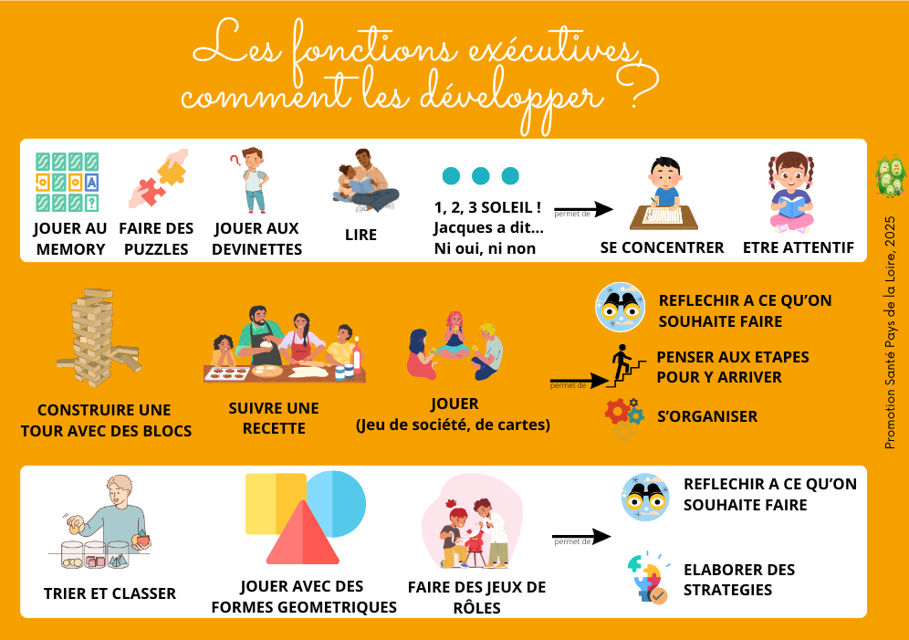 Fonctions exécutives